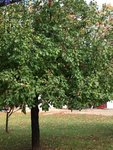 W6150 STEFFEN LANE, Pembine, WI 54156