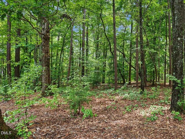 10 Sourwood Lane, Pittsboro, NC 27312