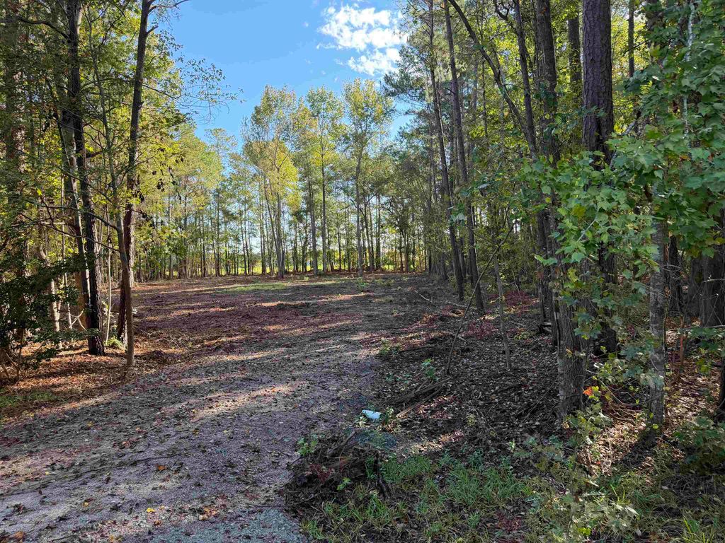 Tract 1 Wise Rd., Conway, SC 29526 — exterior