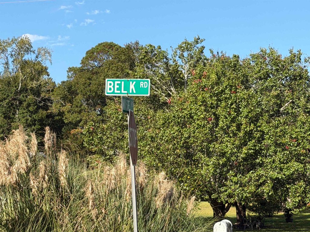 Tract 1 Wise Rd., Conway, SC 29526 — photo 2