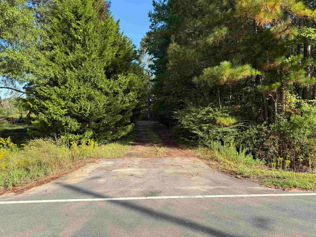 Tract 1 Wise Rd., Conway, SC 29526 — photo 5