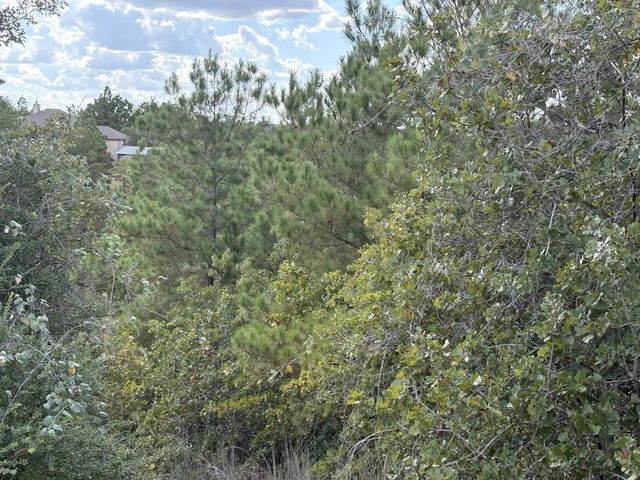 TBD Lot 35 Pinecrest DR, Bastrop, TX 78602