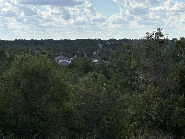 TBD Lot 35 Pinecrest DR, Bastrop, TX 78602