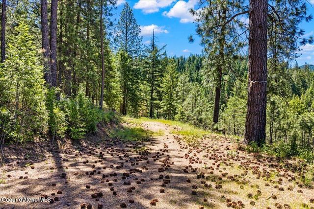 121 S Idaho Rd, Post Falls, ID 83854