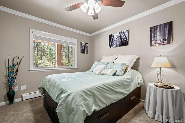 7524 Engineers Court, Larkspur, CO 80118