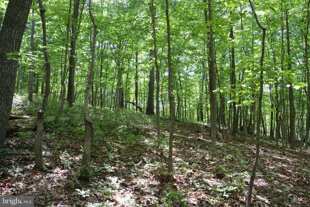 3 LOTS - 59, 60, 61 BALDWIN RD, Front Royal, VA 22630