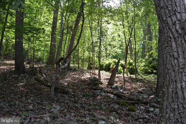 3 LOTS - 59, 60, 61 BALDWIN RD, Front Royal, VA 22630