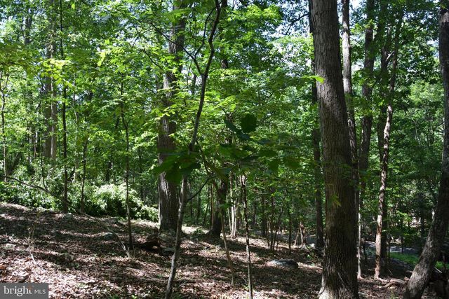 3 LOTS - 59, 60, 61 BALDWIN RD, Front Royal, VA 22630
