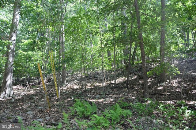 3 LOTS - 59, 60, 61 BALDWIN RD, Front Royal, VA 22630