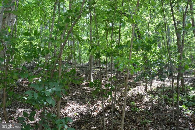 3 LOTS - 59, 60, 61 BALDWIN RD, Front Royal, VA 22630