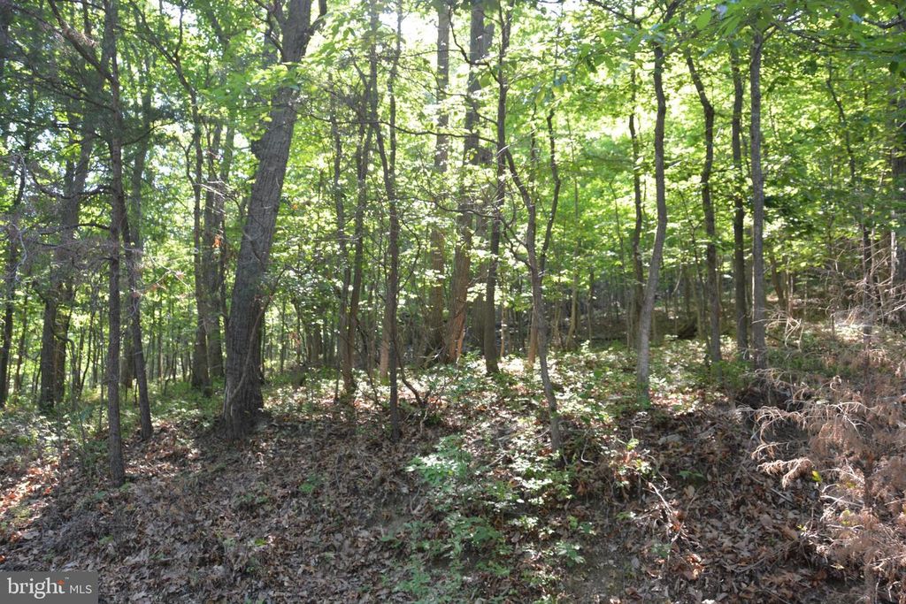 3 LOTS - 59, 60, 61 BALDWIN RD, Front Royal, VA 22630