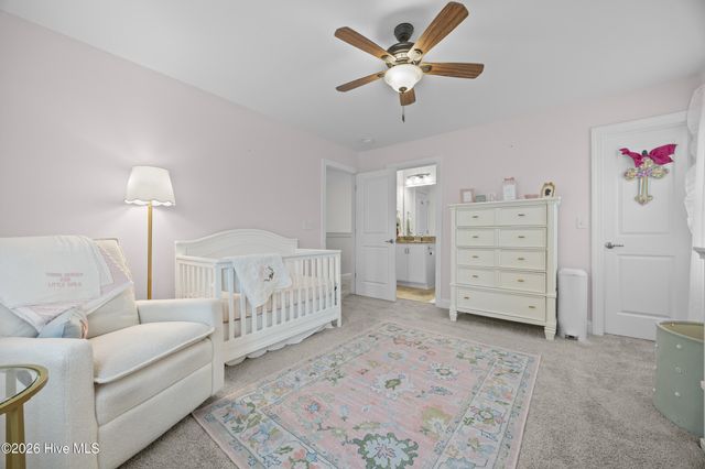 10113 Belville Oaks Lane, Leland, NC 28451