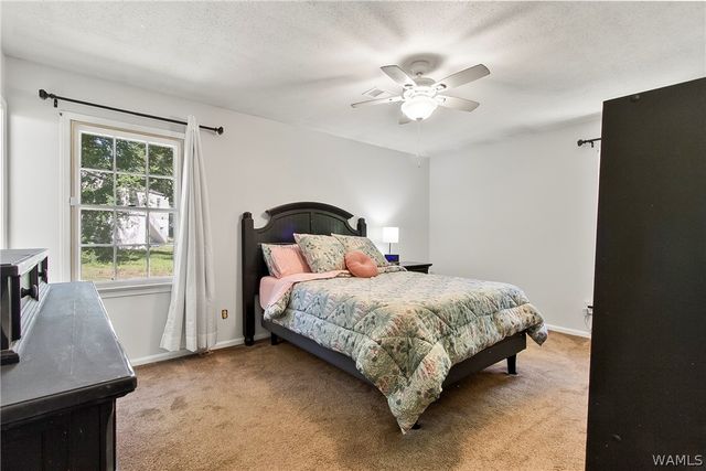 429 Orange, Tuscaloosa, AL 35401