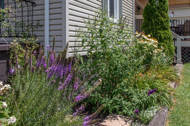 435 Sulpher Spring Road, Chilhowie, VA 24319