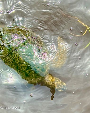 130 Reef Road, South Daytona, FL 32119