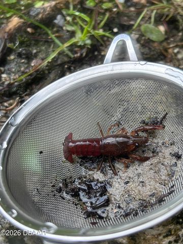 130 Reef Road, South Daytona, FL 32119