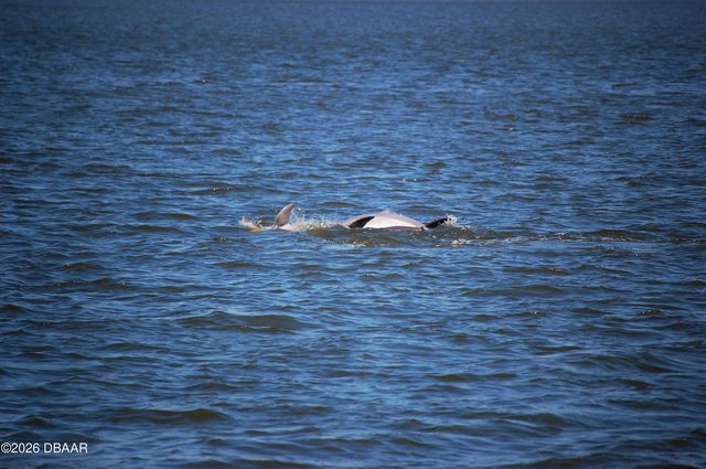 130 Reef Road, South Daytona, FL 32119