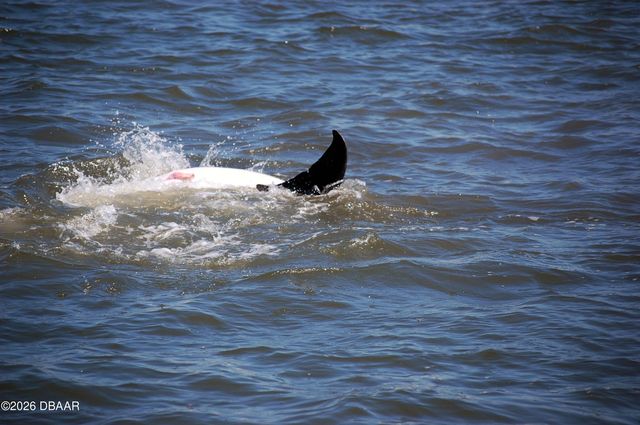 130 Reef Road, South Daytona, FL 32119