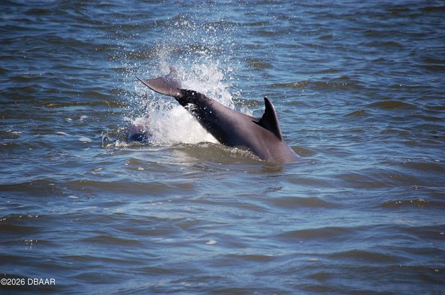 130 Reef Road, South Daytona, FL 32119