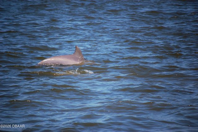 130 Reef Road, South Daytona, FL 32119