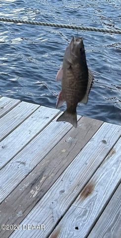 130 Reef Road, South Daytona, FL 32119