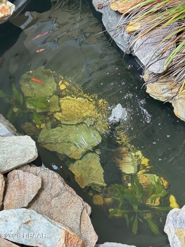 130 Reef Road, South Daytona, FL 32119