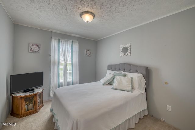 928 Highway 421 N, Mountain City, TN 37683