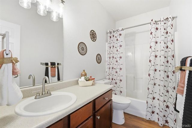 4362 Alder Springs View, Colorado Springs, CO 80922