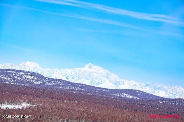 20114 E Baldy Lake Drive, Talkeetna, AK 99676