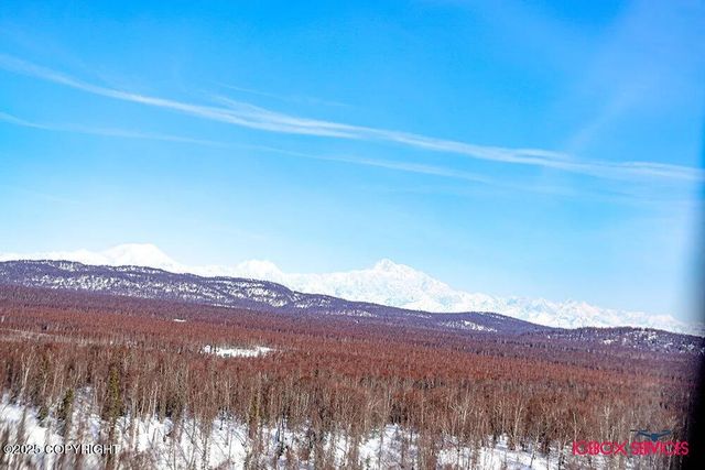 20114 E Baldy Lake Drive, Talkeetna, AK 99676