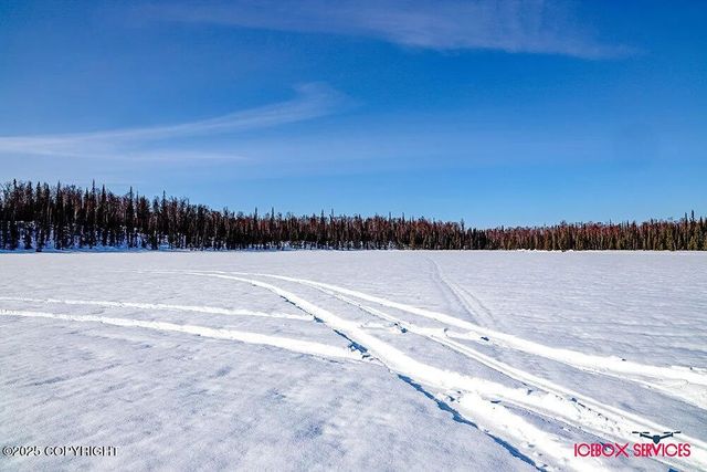 20114 E Baldy Lake Drive, Talkeetna, AK 99676