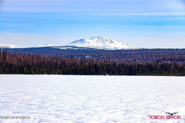 20114 E Baldy Lake Drive, Talkeetna, AK 99676