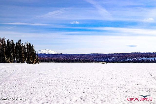 20114 E Baldy Lake Drive, Talkeetna, AK 99676