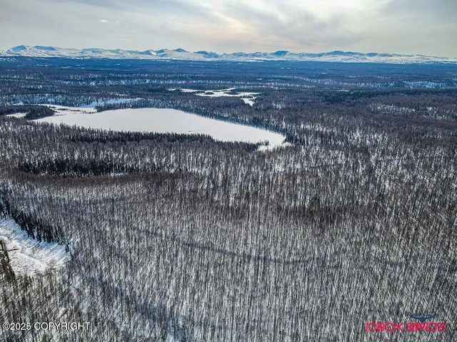 20114 E Baldy Lake Drive, Talkeetna, AK 99676
