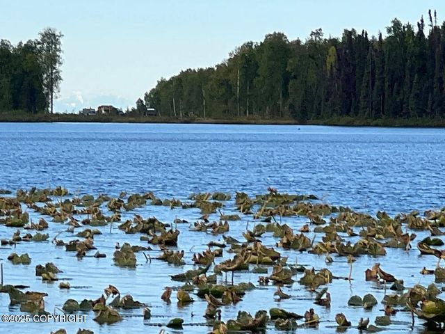 20114 E Baldy Lake Drive, Talkeetna, AK 99676