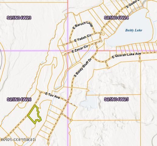 20114 E Baldy Lake Drive, Talkeetna, AK 99676