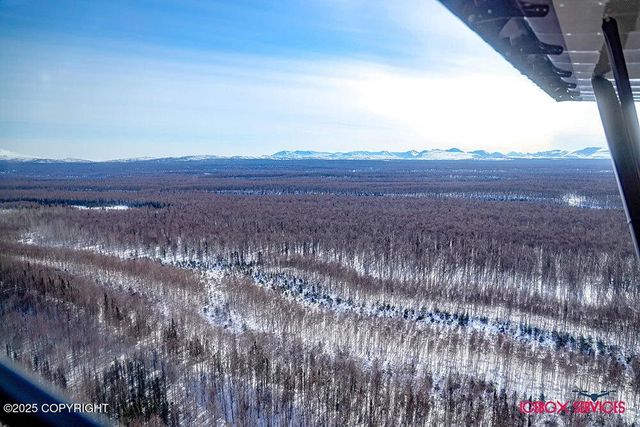 20114 E Baldy Lake Drive, Talkeetna, AK 99676
