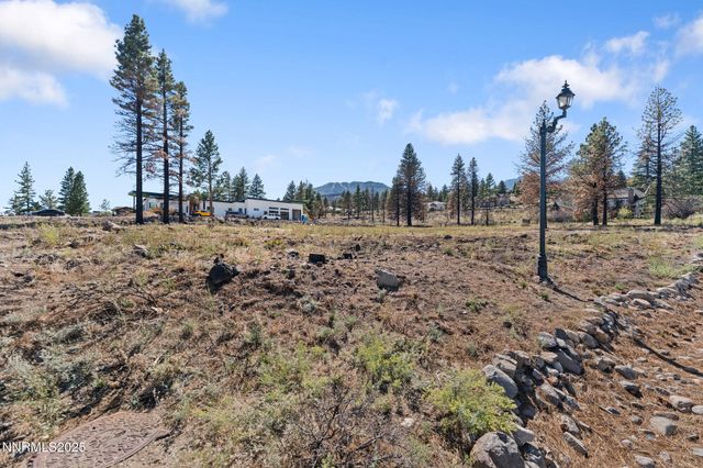 605 Sand Cherry Court, Reno, NV 89511