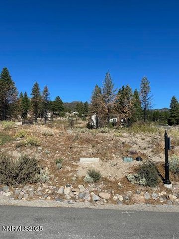 605 Sand Cherry Court, Reno, NV 89511