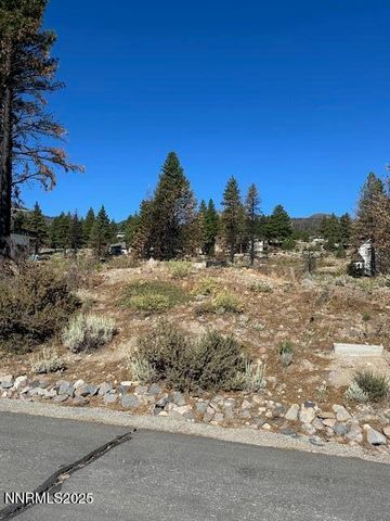 605 Sand Cherry Court, Reno, NV 89511