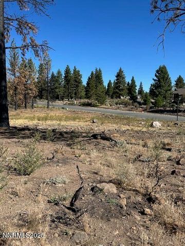 605 Sand Cherry Court, Reno, NV 89511