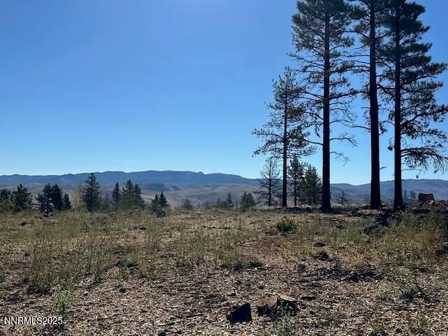 605 Sand Cherry Court, Reno, NV 89511