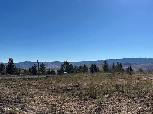 605 Sand Cherry Court, Reno, NV 89511