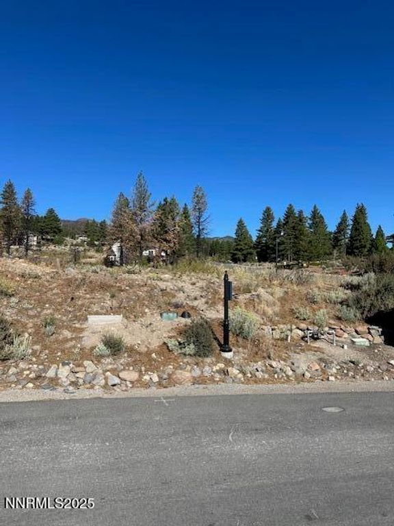 605 Sand Cherry Court, Reno, NV 89511