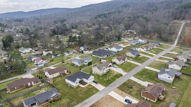 225 Foothills Drive, Dayton, TN 37321