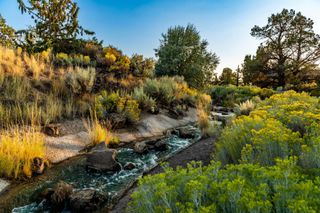 22989 Ghost Tree Lane Lot 341, Bend, OR 97701