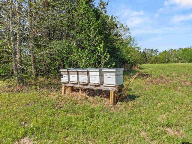 1333 Lupine Rd, Gilmer, TX 75644
