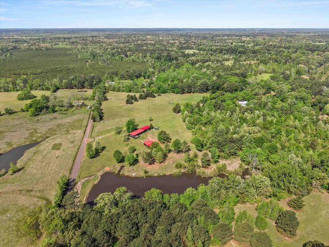 1333 Lupine Rd, Gilmer, TX 75644