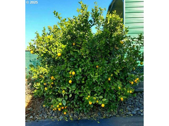 15961 BAY VIEW Dr, Brookings, OR 97415