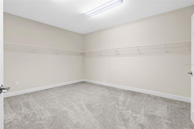 13830 MOONSTONE CANYON DRIVE, Riverview, FL 33579
